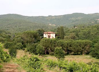 Holiday apartment in Tuscany