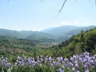Panoramic view from Podere Albereto