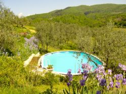 Swimming pool vacation rental Tuscany
