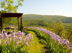 Gazebo Tuscany holiday home