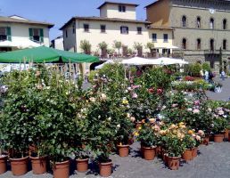 Fte des fleurs Toscane