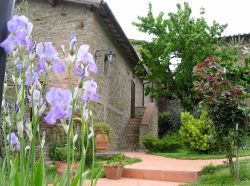 Poggio all'Olmo Agriturismo in the centre of the Chianti Classico wine area