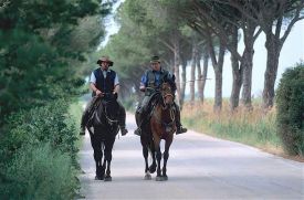 Butteri Maremma