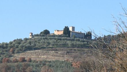 Castello di Colognole