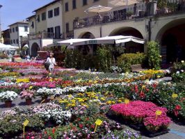 Festa dei Fiori Greve in Chianti