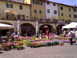 Festa dei Fiori Toscane