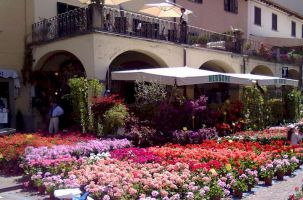 Piazza Matteotti de Greve in Chianti