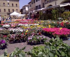 Piazza Matteotti Toscane