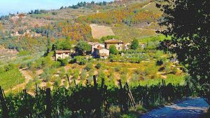 Poggio all'Olmo Tuscan Holiday Home