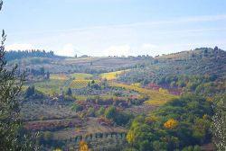 Poggio all'Olmo Tuscan vacation apartments