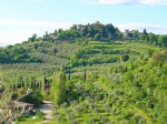 Panzano in Chianti