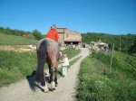 Vacation on a Tuscan farm