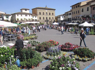 Greve in Chianti main piazza during the flower festival in May